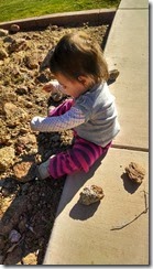 IMG_20140120_111213283_HDR