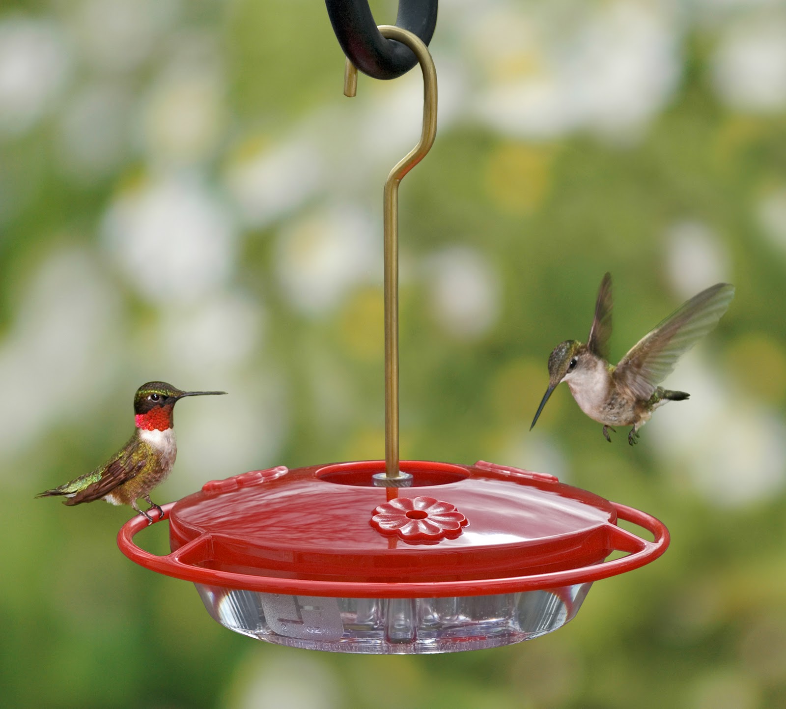 hummingbird feeder design