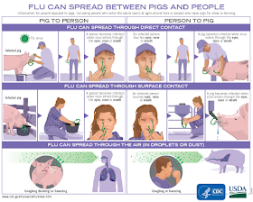 https://www.cdc.gov/flu/pdf/swineflu/transmission-between-pigs-people.pdf