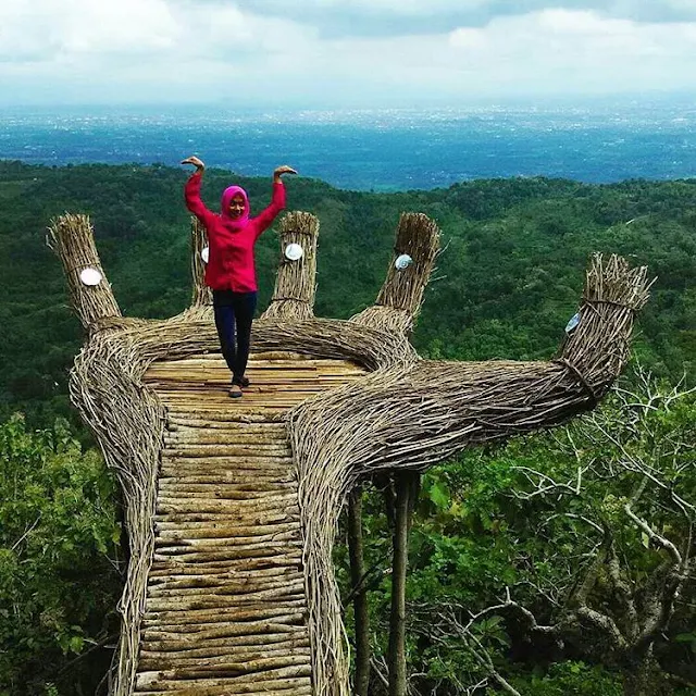 hutan pinus pengger dlingo