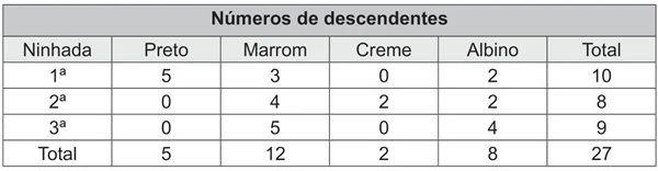 Números de descendentes