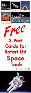 FREE 3-Part Cards for Safari Ltd Space Toob from In Our Pond