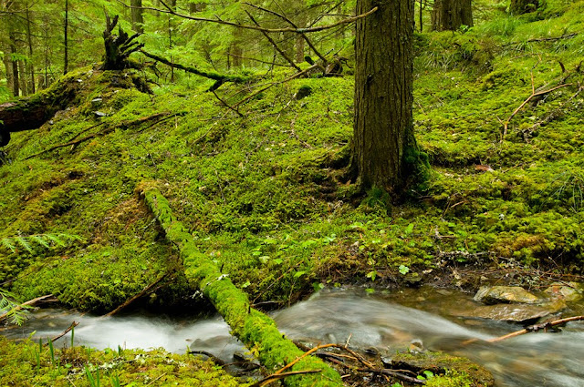 20 Imagenes de la Naturaleza (Sorprendente y Hermona)