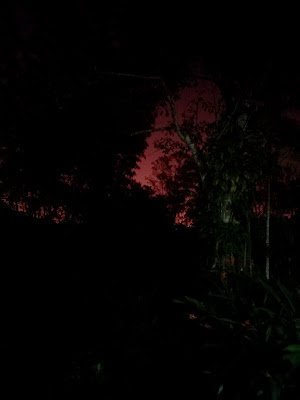 Roter Himmel in der Nacht