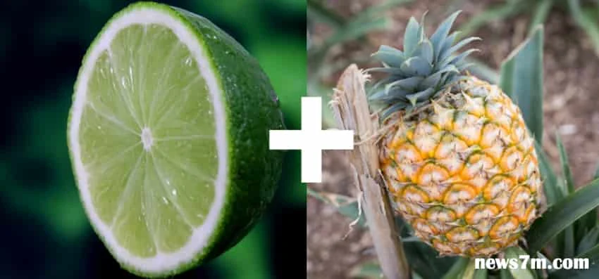Lemon and Pineapple Lemon
