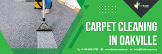 Carpet%20Cleaning%20in%20Oakville%202.jpg