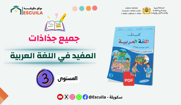 جميع جذاذات المفيد في اللغة العربية المستوى الثالث الموسم الدراسي 2024/2025