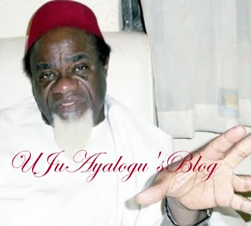 Ezeife reveals what will happen to Fulani if Nigeria breaks up