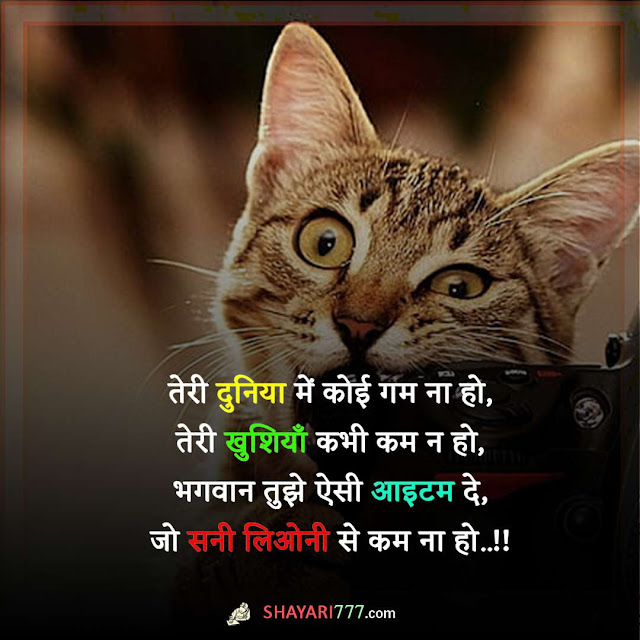 funny shayari in hindi, फन्नी शायरी, फनी शायरी मजेदार, फनी शायरी इमेजेज, गर्ल्स फनी शायरी, फनी शायरी इन हिंदी फॉर बॉयफ्रेंड, फनी रोमांटिक शायरी, फनी शायरी व फ्रेंडशिप, फनी शायरी इन हिंदी फॉर गर्लफ्रैंड, खाने पर फनी शायरी, funny poetry in urdu, comedy shayari in hindi, funny shayari for friends, funny love shayari, funny jokes shayari, very very funny shayari in hindi, 2 line funny shayari, non veg shayari hindi, funny romantic shayari, best friend funny shayari, funny shayari for girlfriend, most funny shayari in hindi, funny chai quotes in hindi, funny shayari on birthday, funny shayari in english for whatsapp, attitude shayari comedy