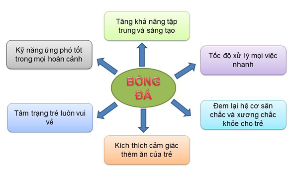 CHO CON HỌC GÌ HÈ 2017