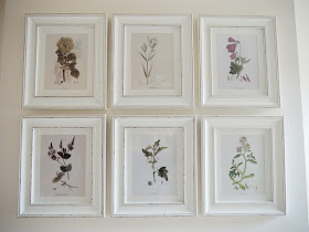 Botanical prints feature wall