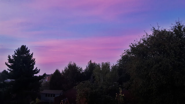 Project 366 2016 day 278 - Pink morning sky // 76sunflowers