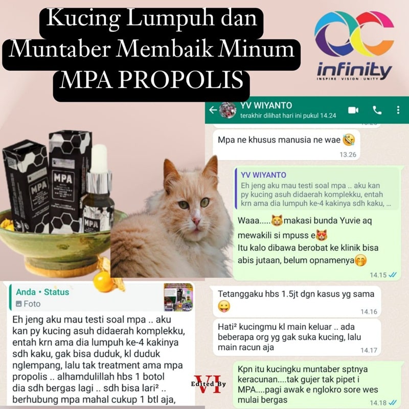 mpa propolis untuk binatang-07