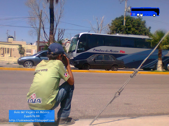 Los fans de los autobuses arriesgando todo por una foto