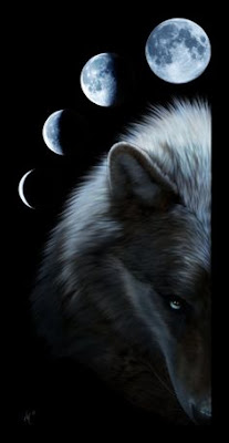 La lune et le loup