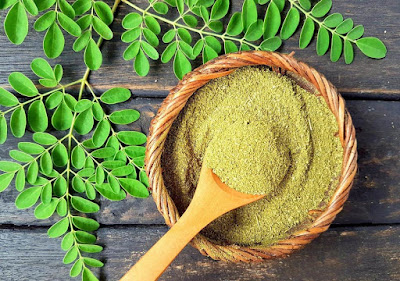 معجزاتی درخت سہانجنہ! 300بیماریوں کا مکمل علاج  moringa oleifera tree health benefits