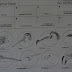 Beaks Of Finches Lab Answer Key : Bestseller: Beaks Of Finches State Lab Answer Key