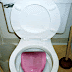 Gif inodoros y toilets