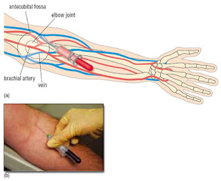 Biometria hematica