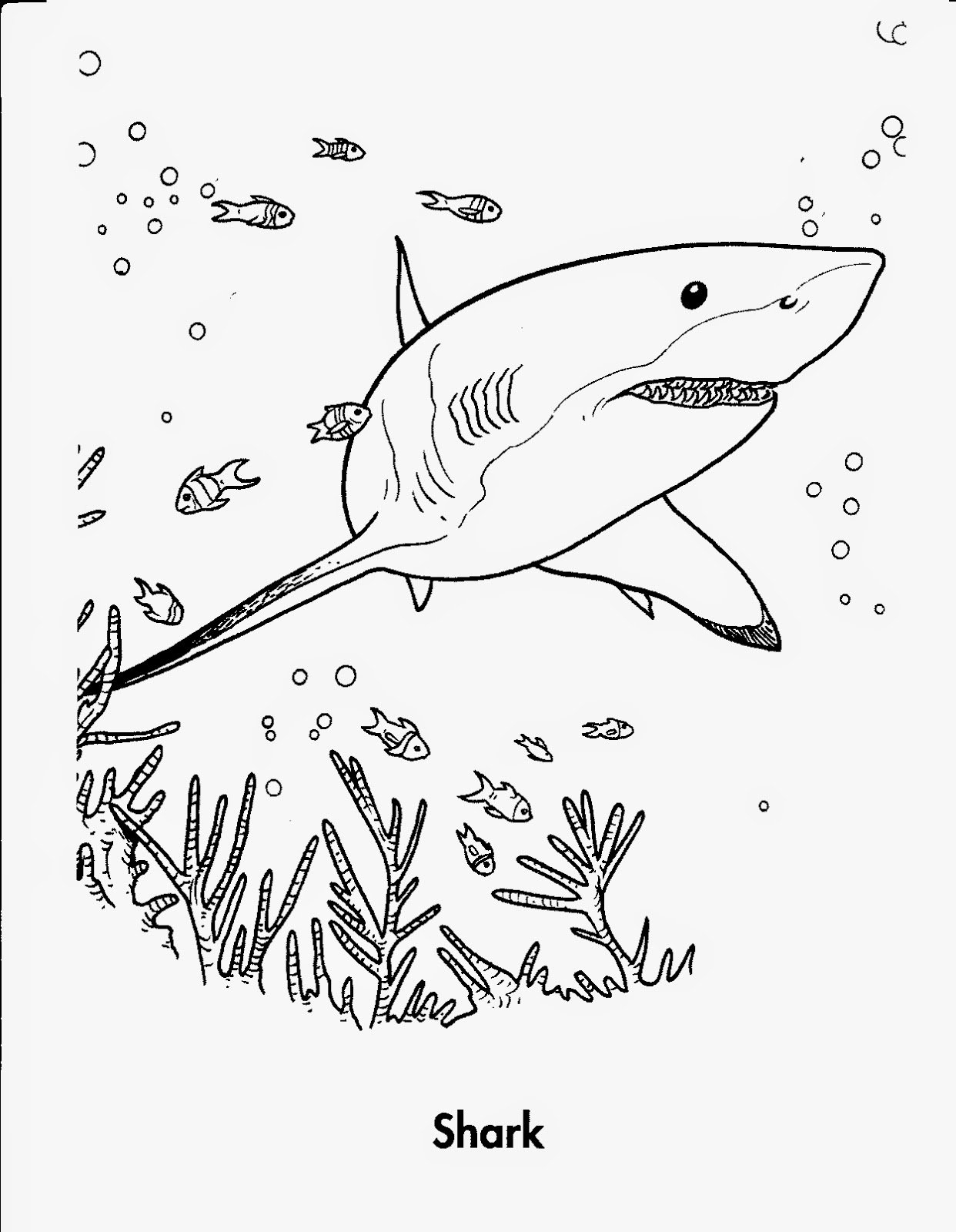 Download Coloring Pages: Shark Coloring Pages Free and Printable