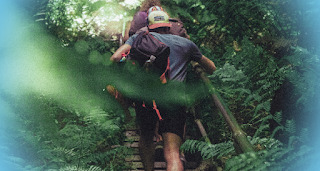 The Stair Climber Targeting Lower Body Endurance - a man walking up a wooden staircase in the woods