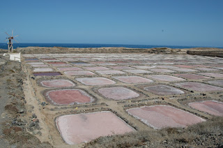 Salinas de Tenefé