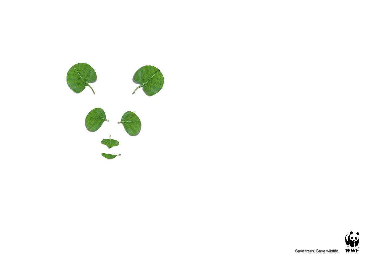 WWF | Social Direction