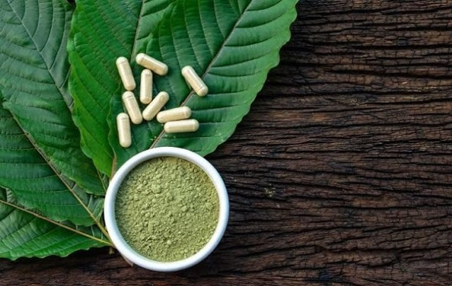 Daun kratom