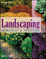 Landscaping ideas