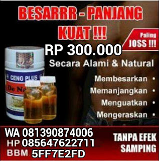 Obat Pembesar Dan Pemanjang Penis