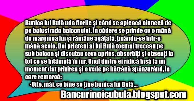 Bunica lui Bula uda florile