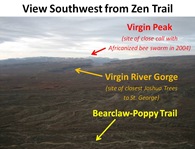 Zen View SW