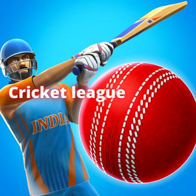 Cricket league