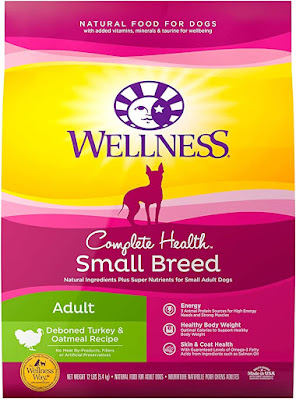 The Best Dog Food for Yorkies