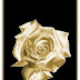 Fero Royale X2 Specs and Price