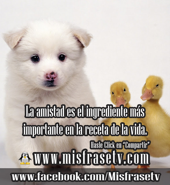 Imágenes de Amistad para compartir 365 Imágenes bonitas - imagenes con frases de amistad