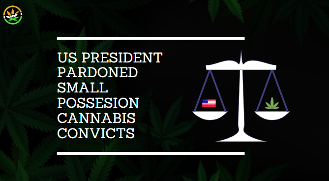 USA President Joe Bidden Pardons Simple Marijuana Convicts  