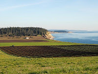Ebey Plain and Bluff