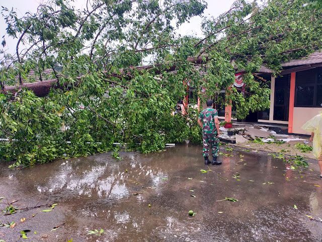 Respon Cepat Anggota Koramil 0102/Cadasari, Bantu Evakuasi Pohon Tumbang