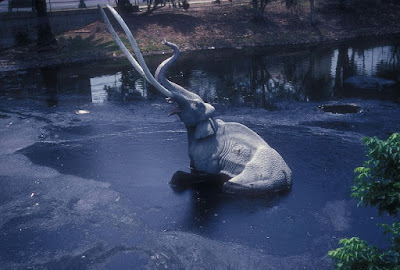 The La Brea Tar Pits have provided a wealth of information for paleontologists, but nothing for evolution. We can learn a great deal using the biblical timeline.