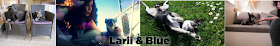                Larii & Blue