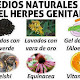 plantas para combatir el herpes genital