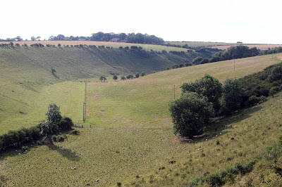 fordon chalk bank, yorkshire wolds, east yorks