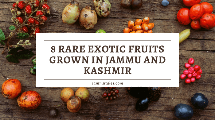 Fruits of Jammu Kashmir