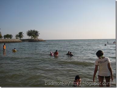 Picture 018