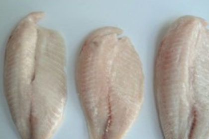 MENGENAL TILAPIA FILLET