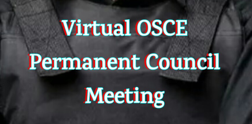Virtual  Permanent Council Meeting