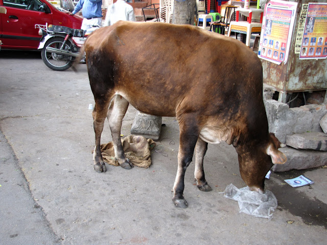 India - Jaipur