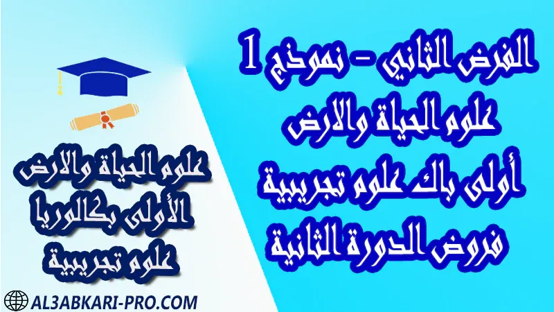 فروض محلولة مادة علوم الحياة والارض فرض فروض مصححة الدورة الثانية الفرض الثاني أولى باك علوم تجريبية الأولى بكالوريا بكالوريا البكالوريا اولى باكالوريا باك   درس ملخص أنشطة تمارين وثائق جذاذات مادة علوم الحياة والارض علوم الحياة و الارض أولى باك علوم تجريبية الأولى بكالوريا البكالوريا اولى باكالوريا مادة علوم الحياة والارض مستوى أولى باك علوم تجريبية اولى باك الأولى بكالوريا أولى بكالوريا البكالوريا باكالوريا موقع التعليم عن بعد  مواقع دراسة عن بعد منصة التعليم عن بعد منصات التعليم عن بعد التعليم عن بعد مجانا برامج التعليم عن بعد مجانا التعليم عن بعد مجاناً افضل مواقع التعليم عن بعد مجانا منصات التعليم عن بعد مجانية منصات تعليم عن بعد