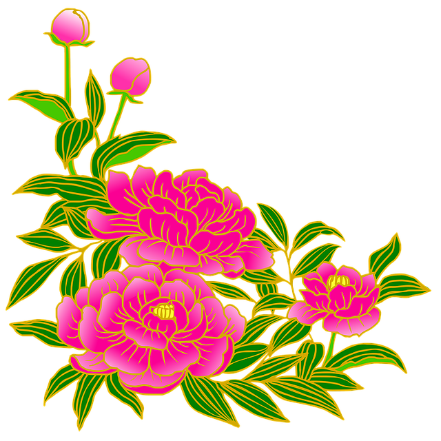 Peonies origin, Varieties, Meanings, Classification, Distribution, Bouquets, Symbols, Belief, and Tattoos
